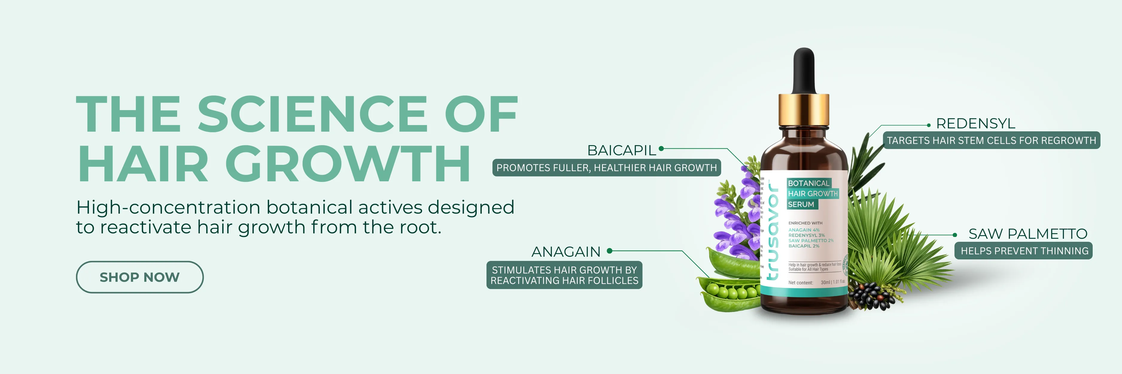 Wellness Reimagined
